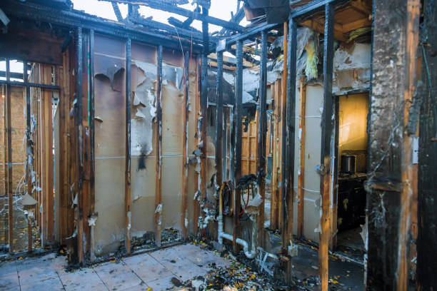 Professional Fire Damage Removal technician working in Rosemount, MN