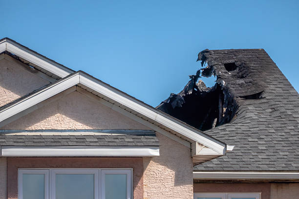 Top rated local Fire Damage Removal specialists in Rosemount, MN
